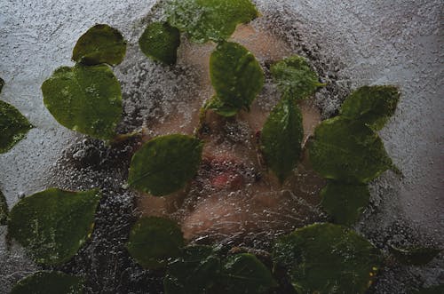 buz, dondurulmuş, Kadın içeren Ücretsiz stok fotoğraf