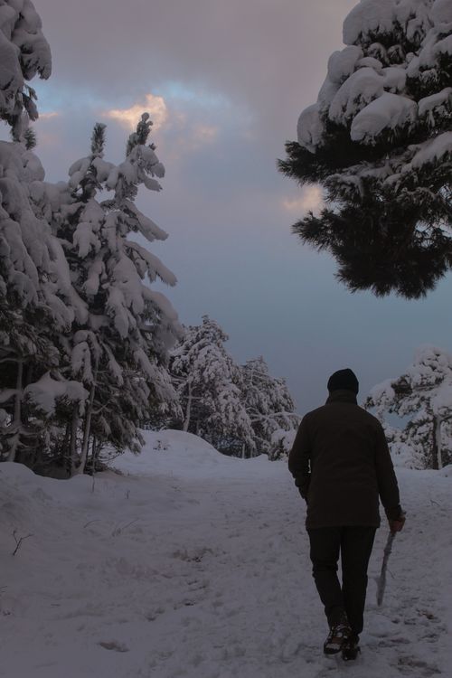 Free An adult male in a black jacket walks through a snowy forest during winter, creating a serene atmosphere. Stock Photo