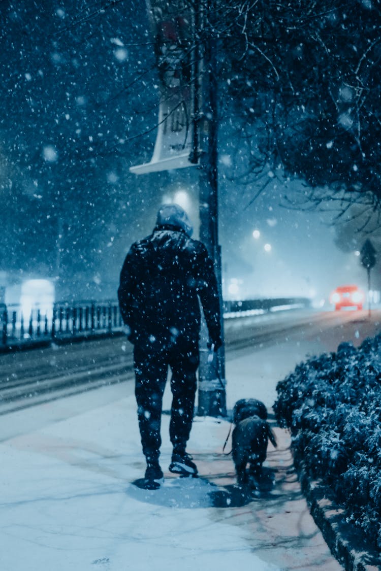 A Back View Of A Person Walking On The Street At Night