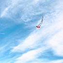 Free stock photo of action, active, adventure
