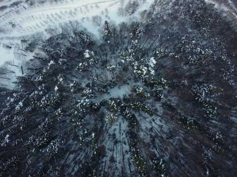 Drone shot capturing a serene top-down view of a snow-covered forest in winter.
