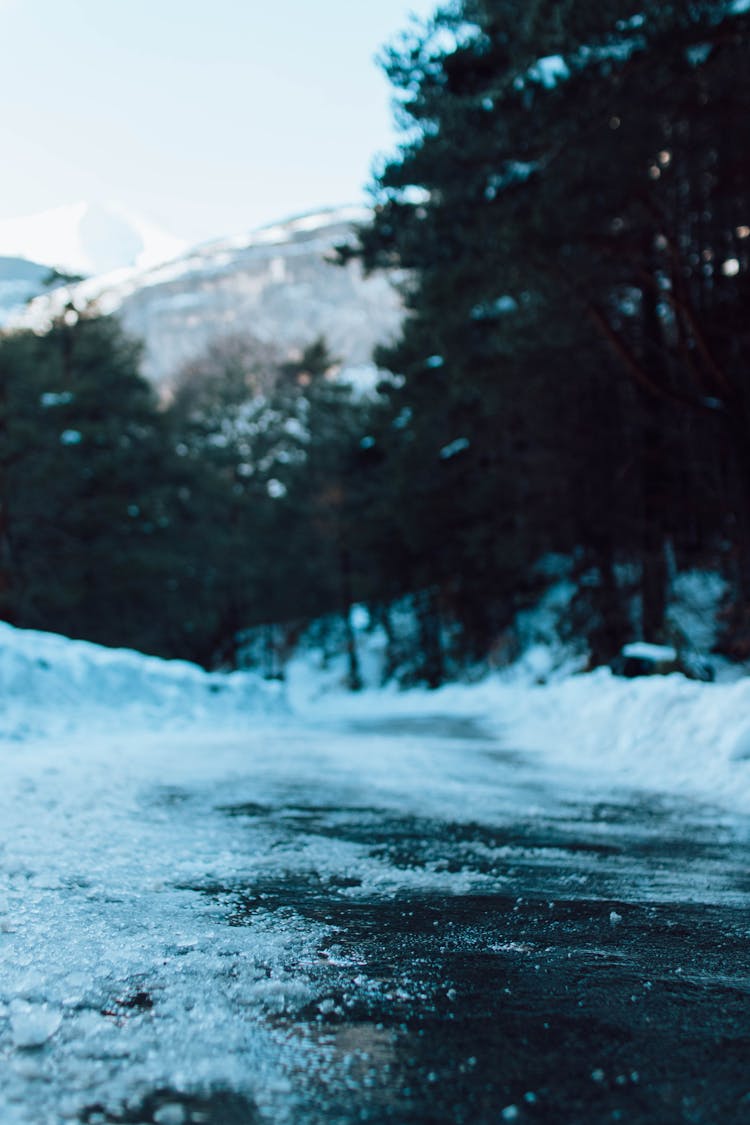 A Path In Winter