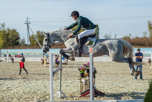 Free A thrilling moment of a rider and horse mid-jump at a showjumping competition. Stock Photo