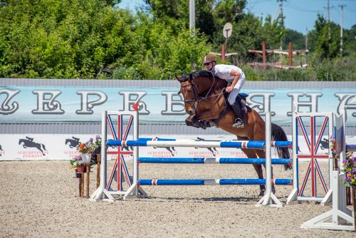 Free A thrilling equestrian event showcasing a rider and horse executing a jump over obstacles. Stock Photo