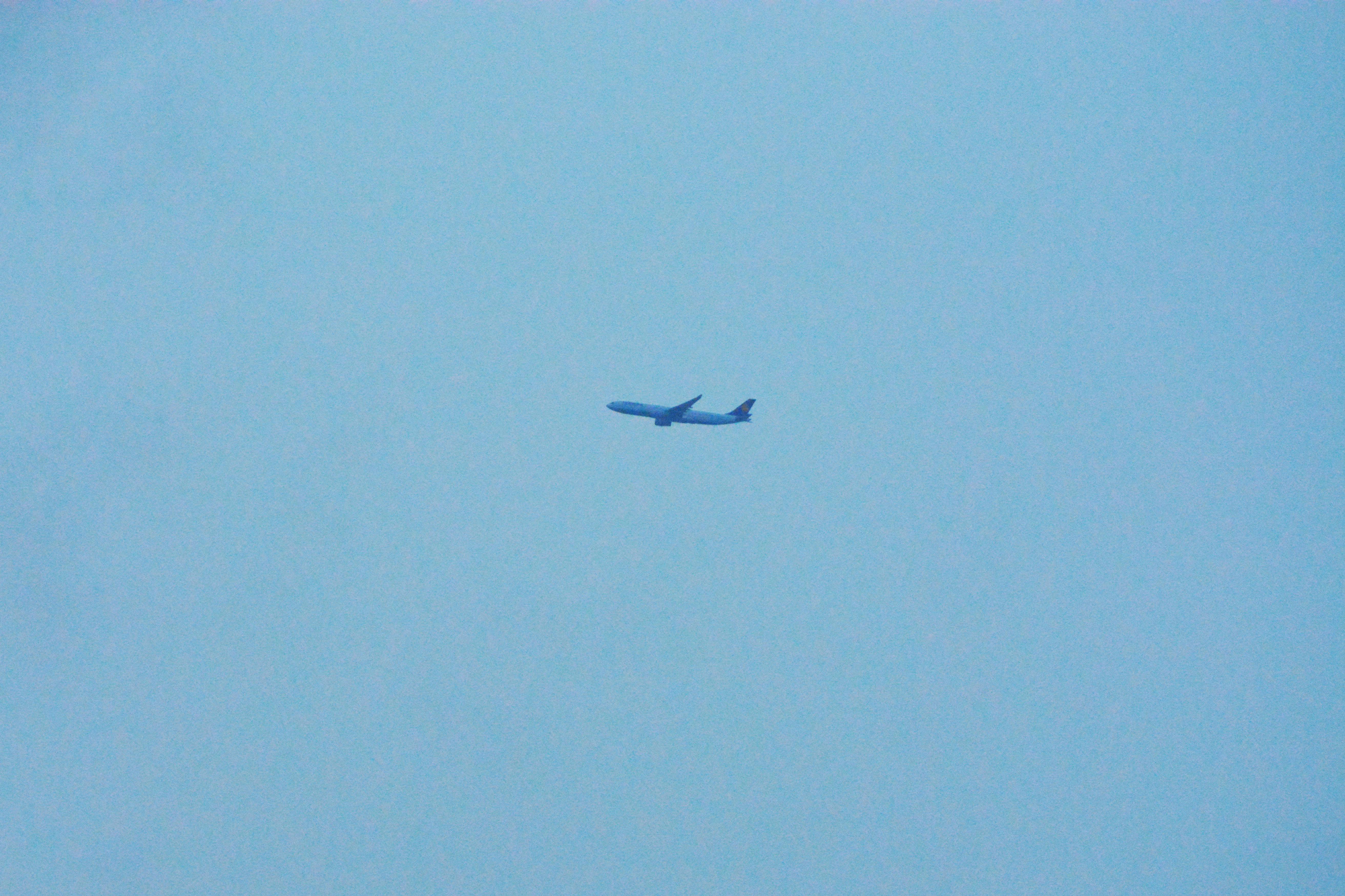 Free stock photo of aeroplane, airplane, minimalism
