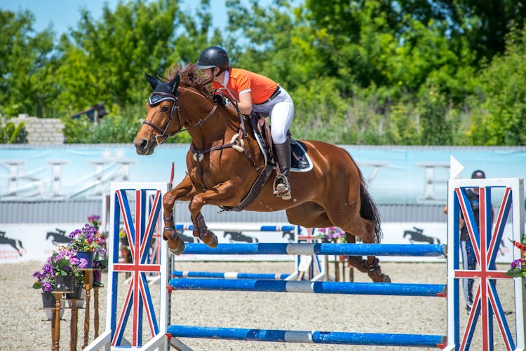 Woman On A Horse Jumping Over A Pole 