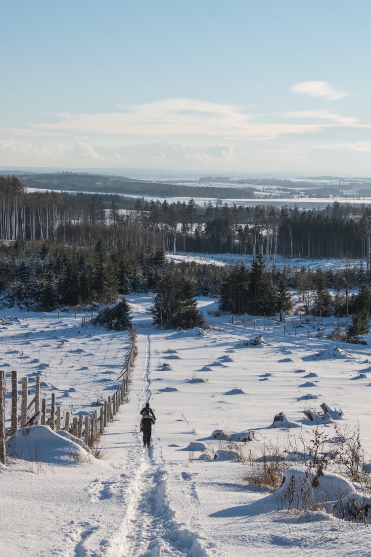 People Walking Down The Hill In Snow 