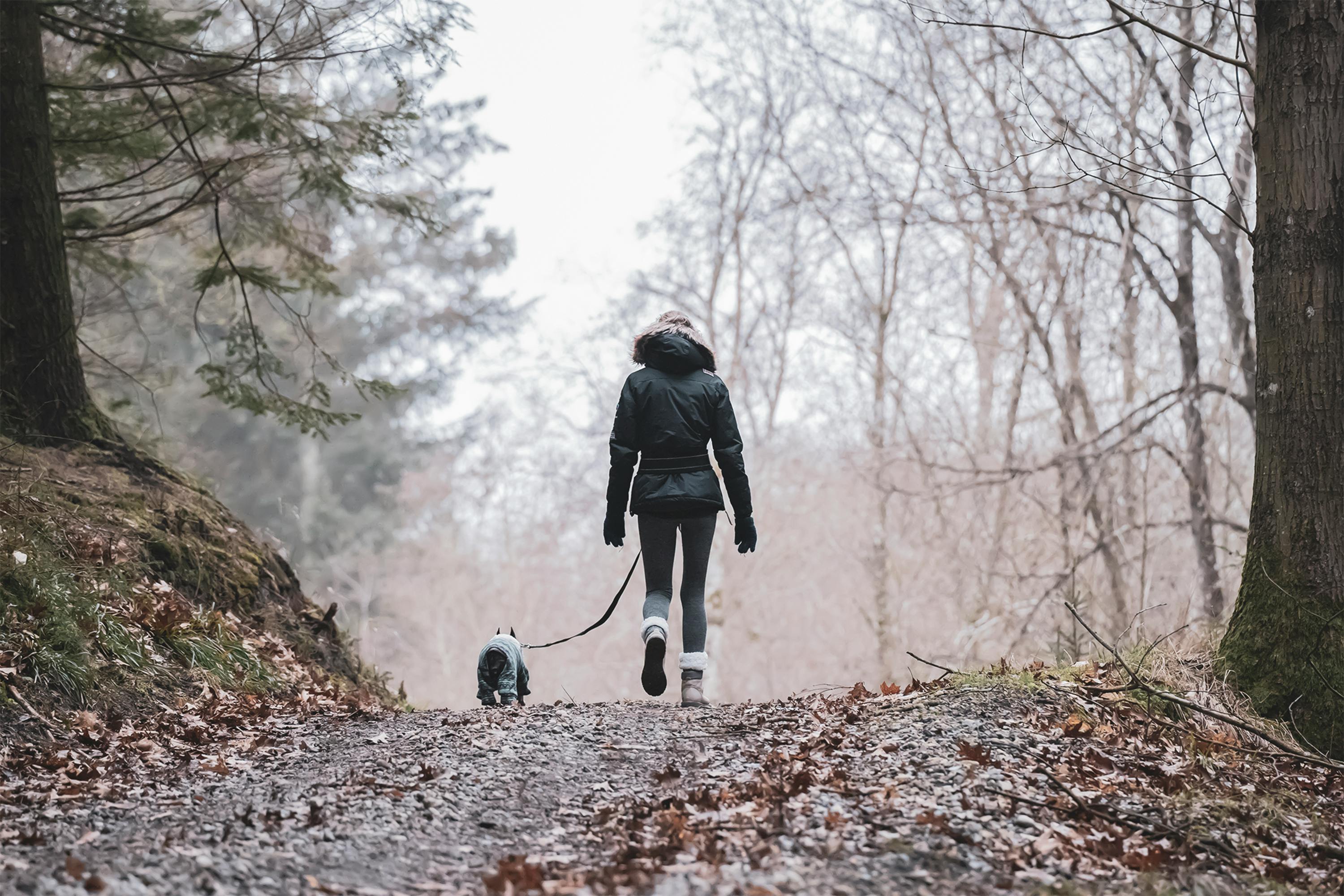 woman in black hoodie jacket walking with her dog