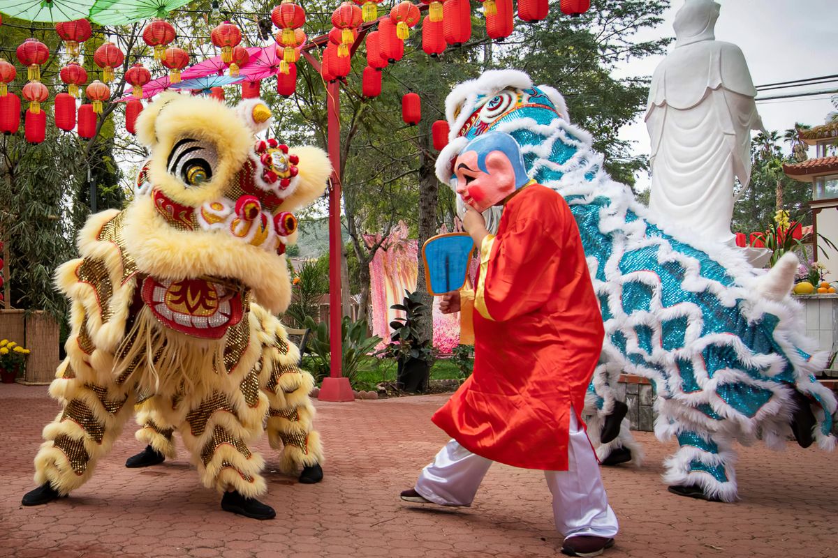 Colourful Southern Lion dance performance with dancers under the lion costume