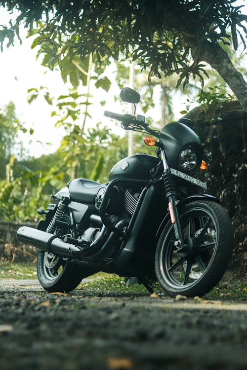 Black Motorcycle Parked Beside a Tree