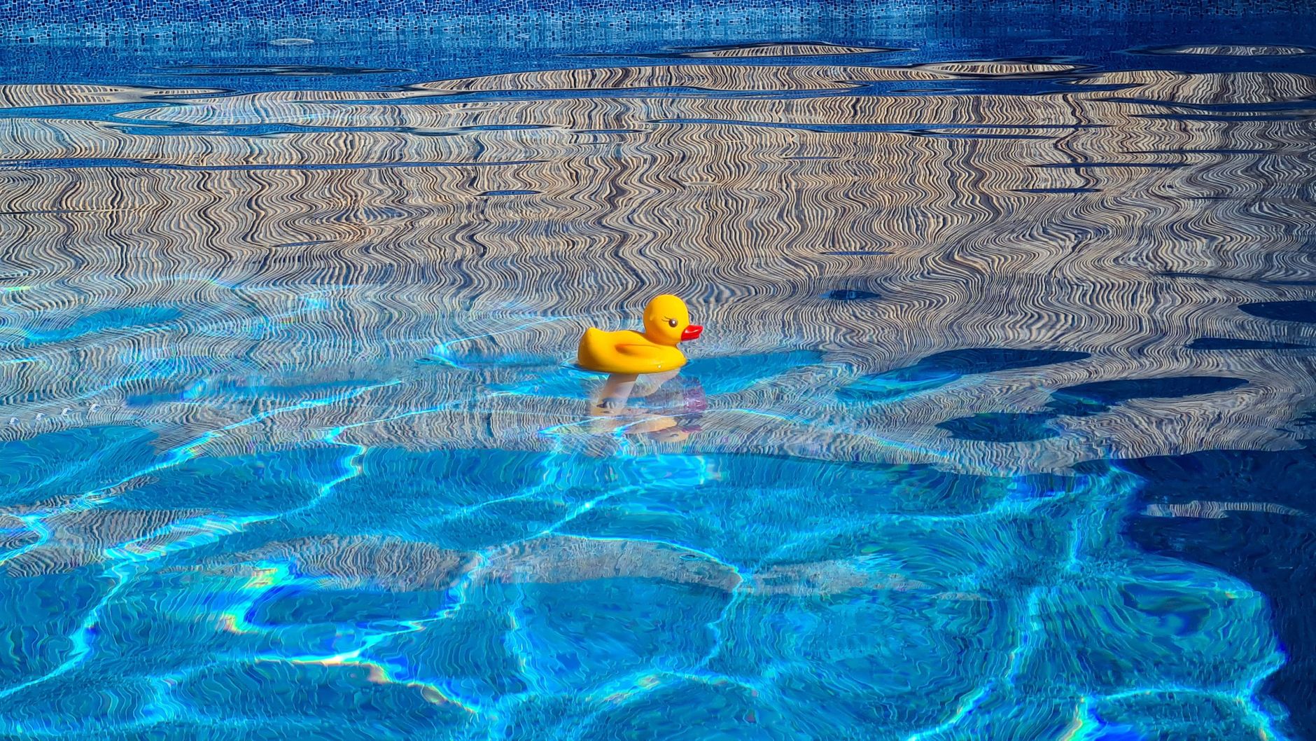J3 année 2 natation artistique