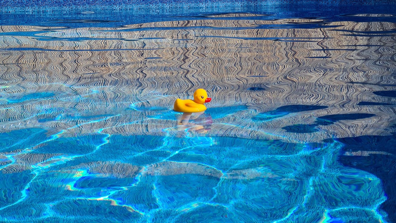 A Yellow Rubber Duck on the Pool · Free Stock Photo