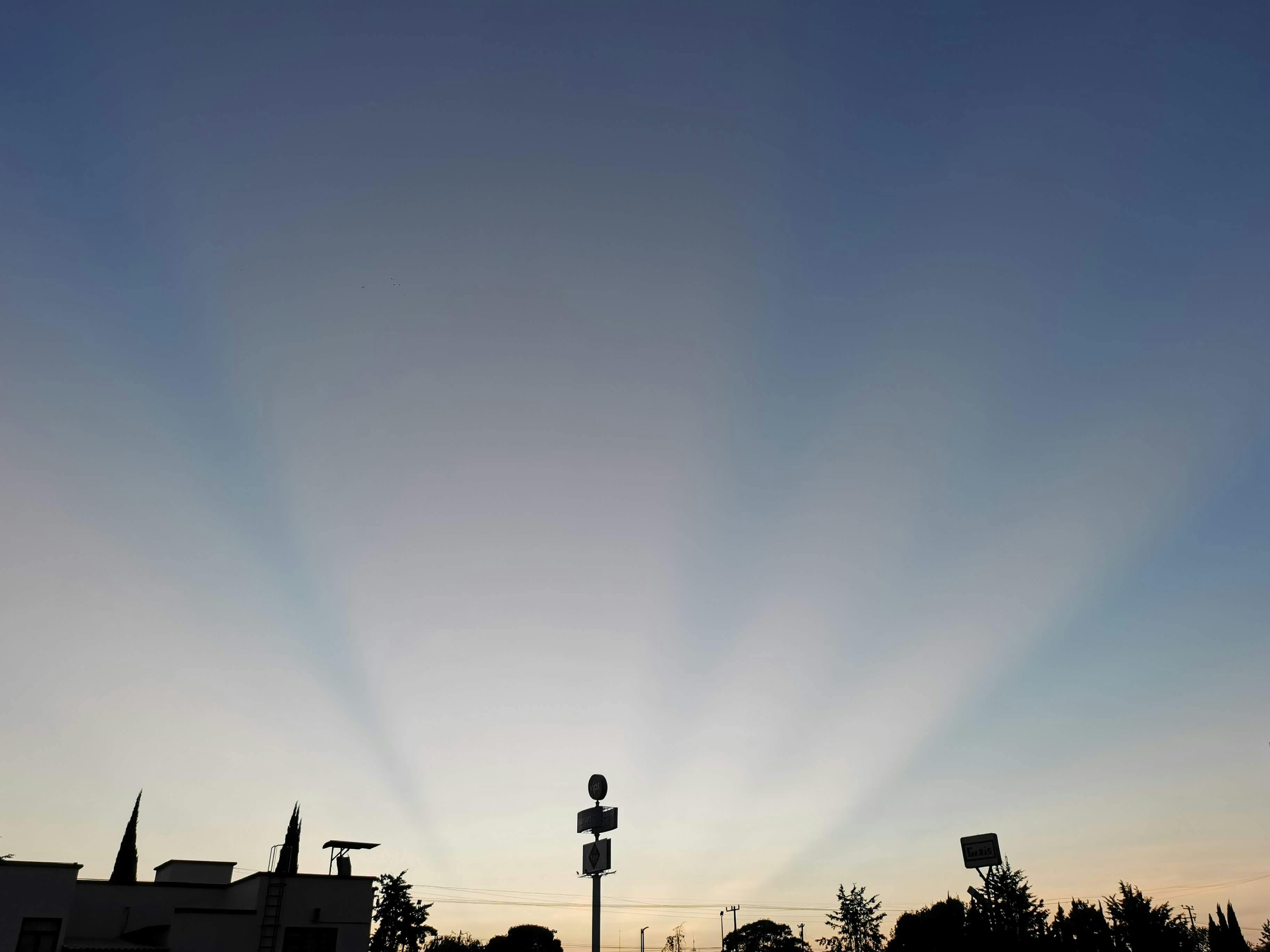 뭄바이 길거리 음식