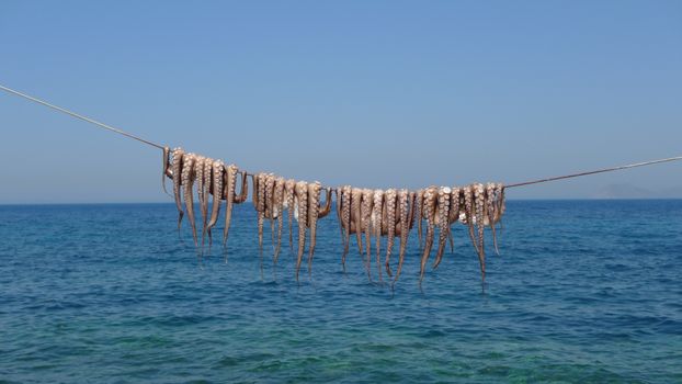 Octopus hanging to dry by the sea in Greece, showcasing traditional seafood preparation.