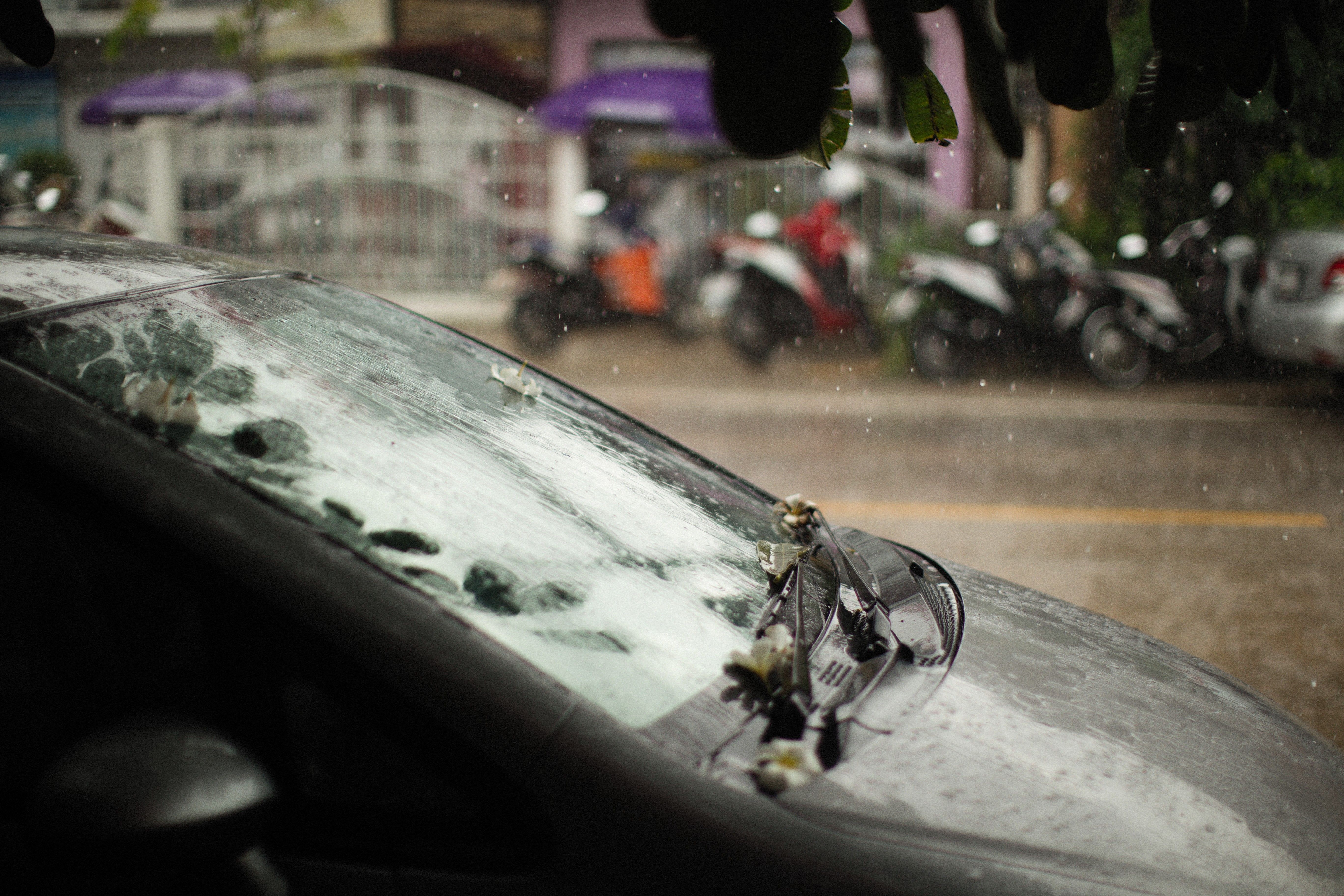 Close-up view of a black car windshield with raindrops on a rainy day streetscape.