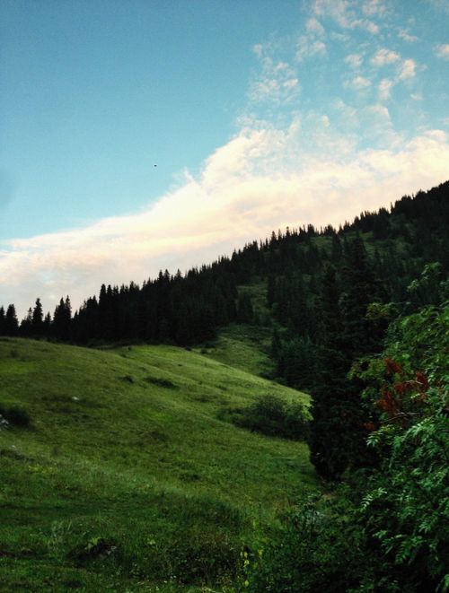 Free Tranquil scene of a green mountainside under a vibrant sky, ideal for nature lovers. Stock Photo
