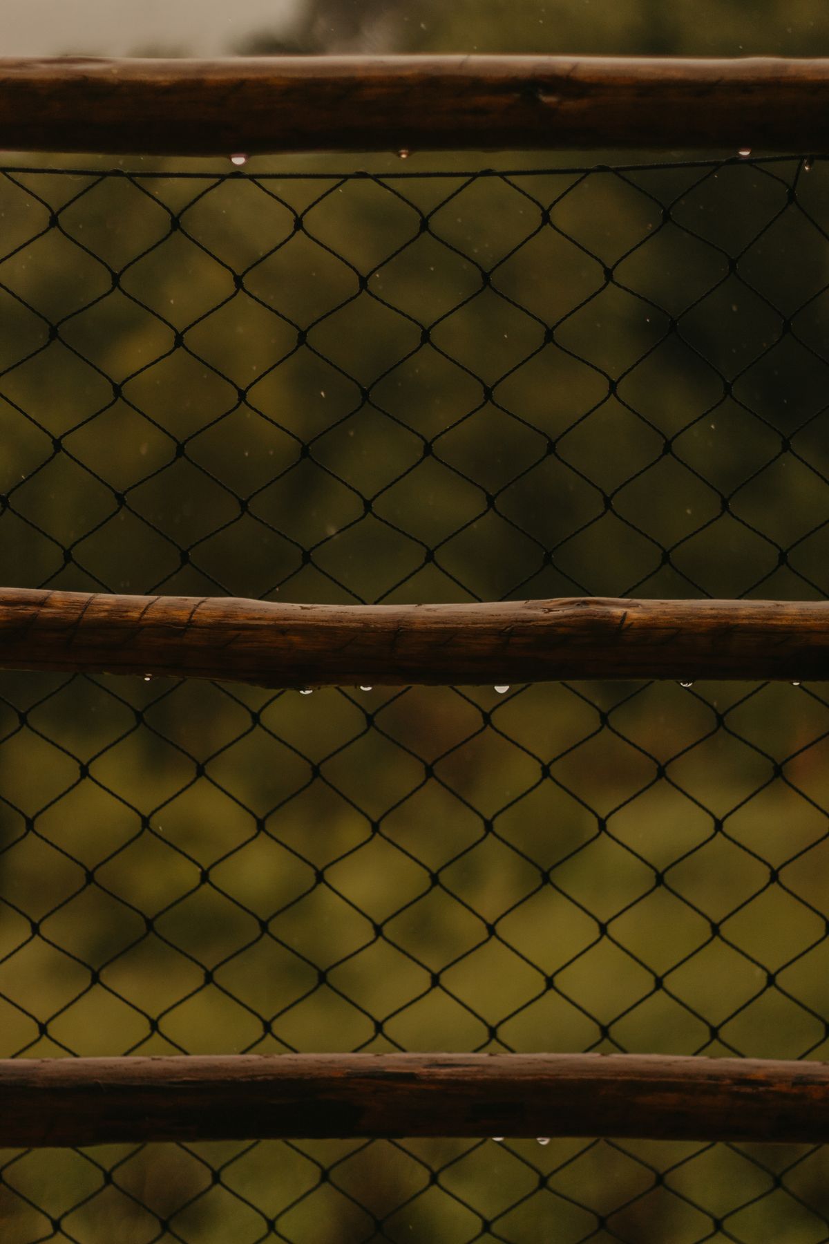 Close-up of a metal fence