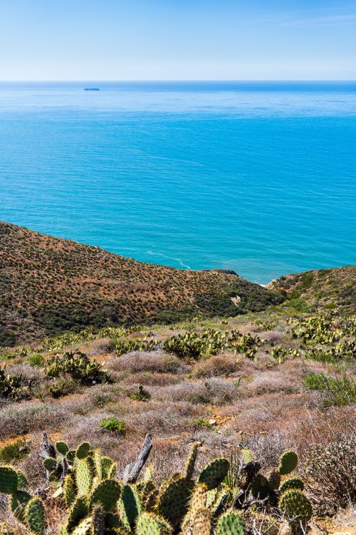 Oxnard Photos, Download The BEST Free Oxnard Stock Photos & HD Images