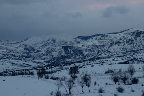 Scenic View of Snow-Covered Mountains