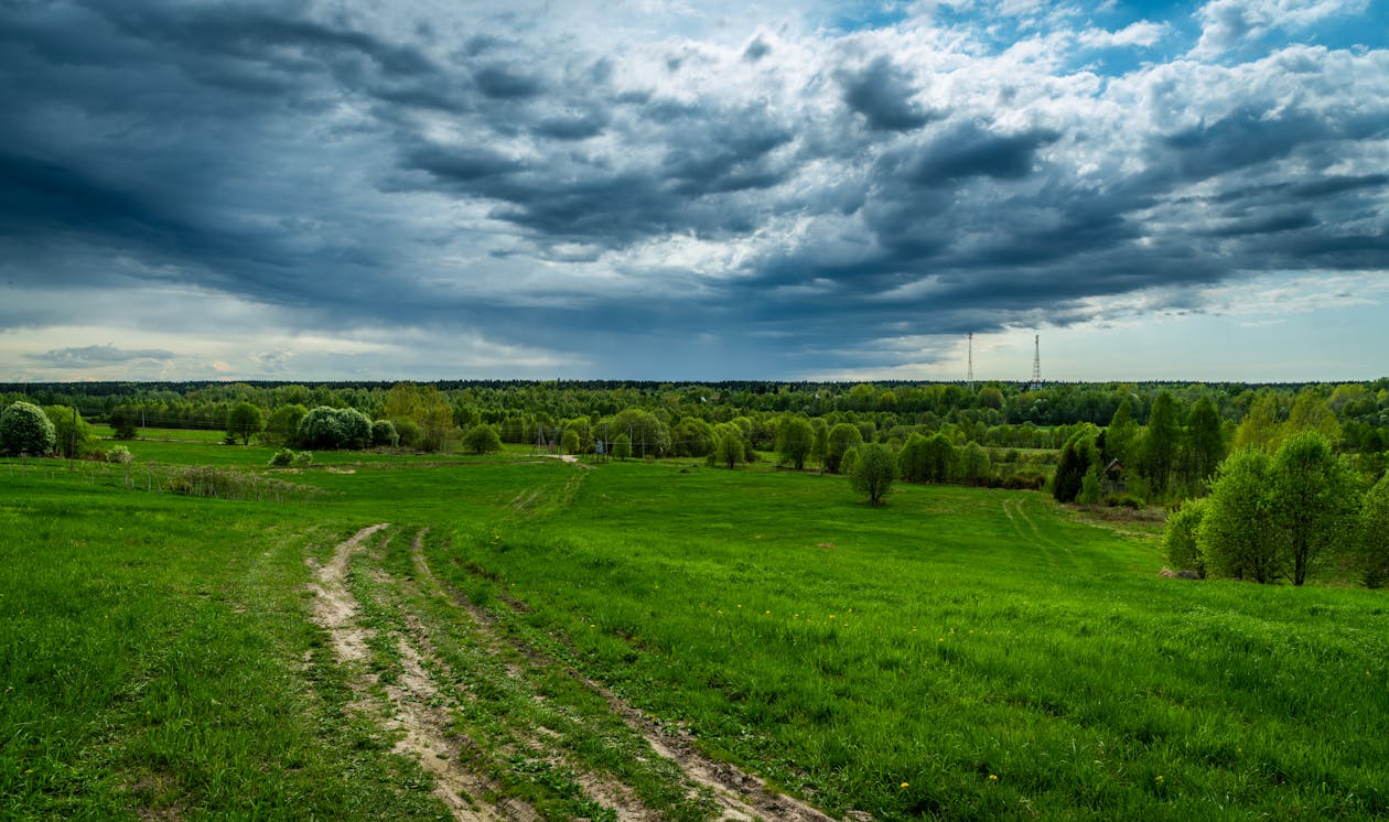 Серые облака под зеленым полем