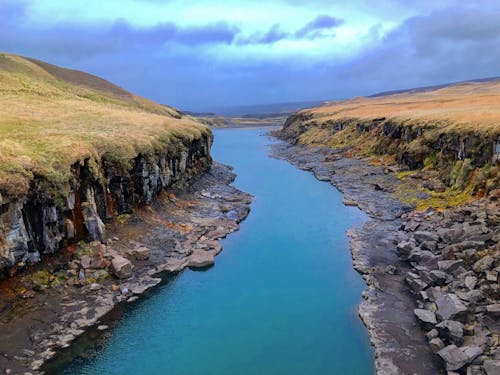 Gratis lagerfoto af dyreliv, flot natur, magt i naturen