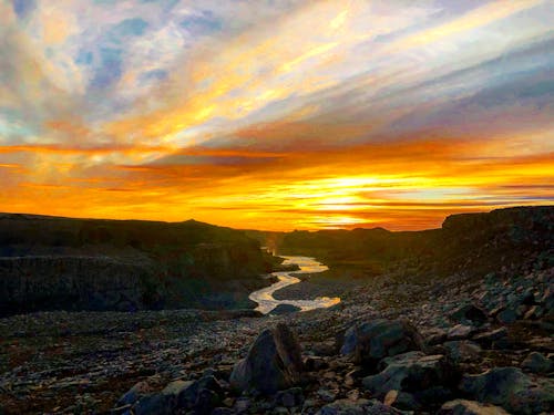 Gratis lagerfoto af dyreliv, flot natur, magt i naturen