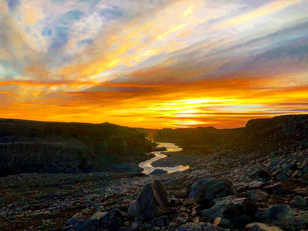 Gratis lagerfoto af dyrefotografering, dyreliv, flot natur