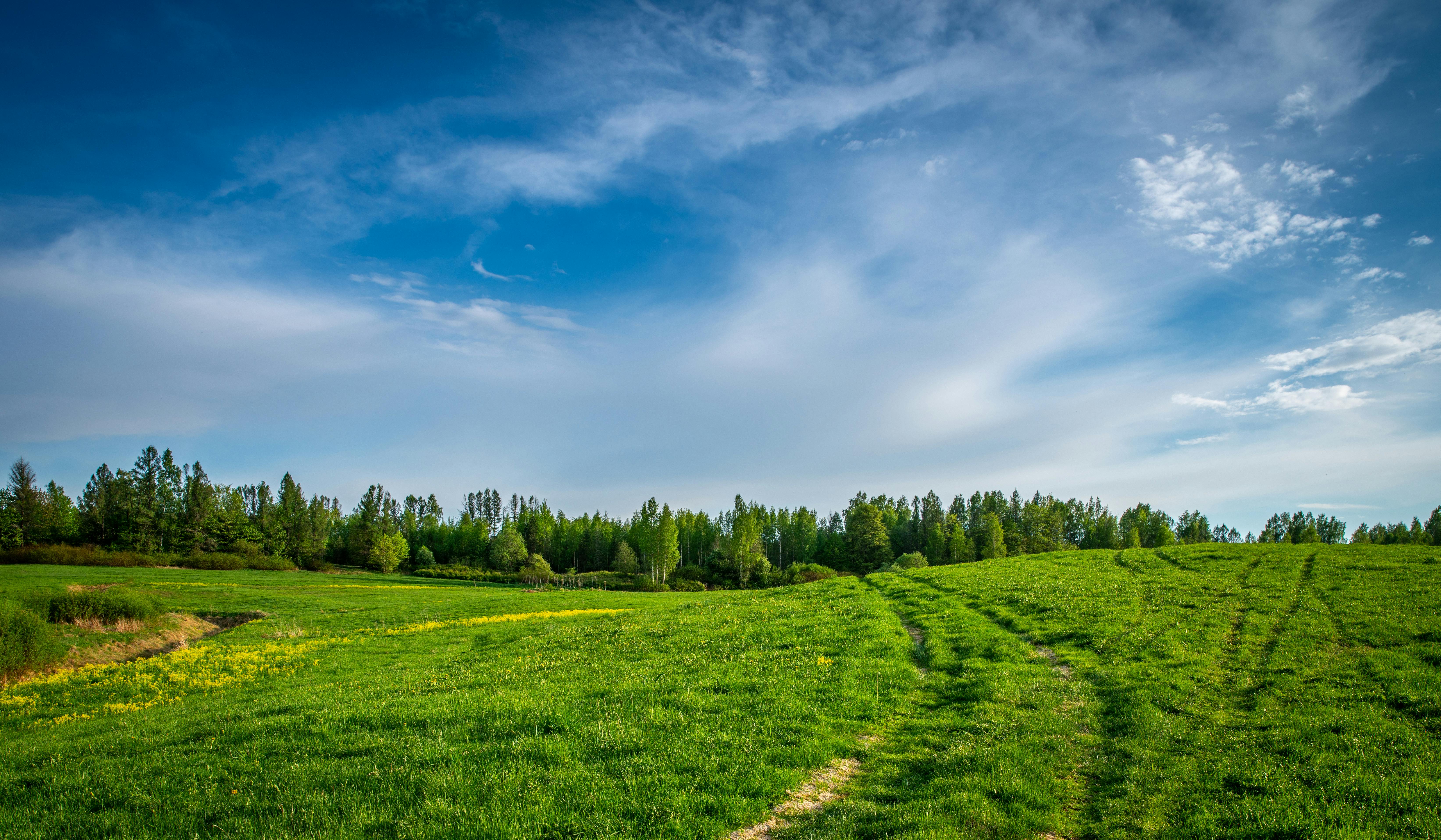 Hdr Photos, Green, Nature background | Best Free Download pictures