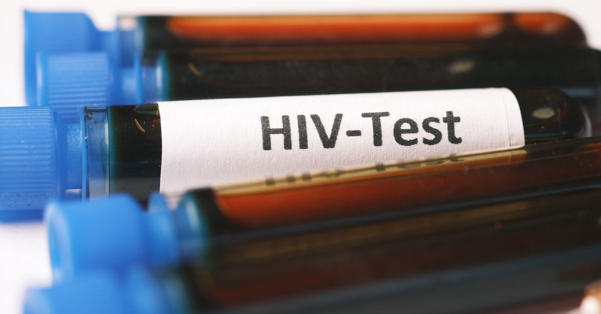 Molbio Diagnostics IPO: A High-Risk Bet with Promising Growth Potential