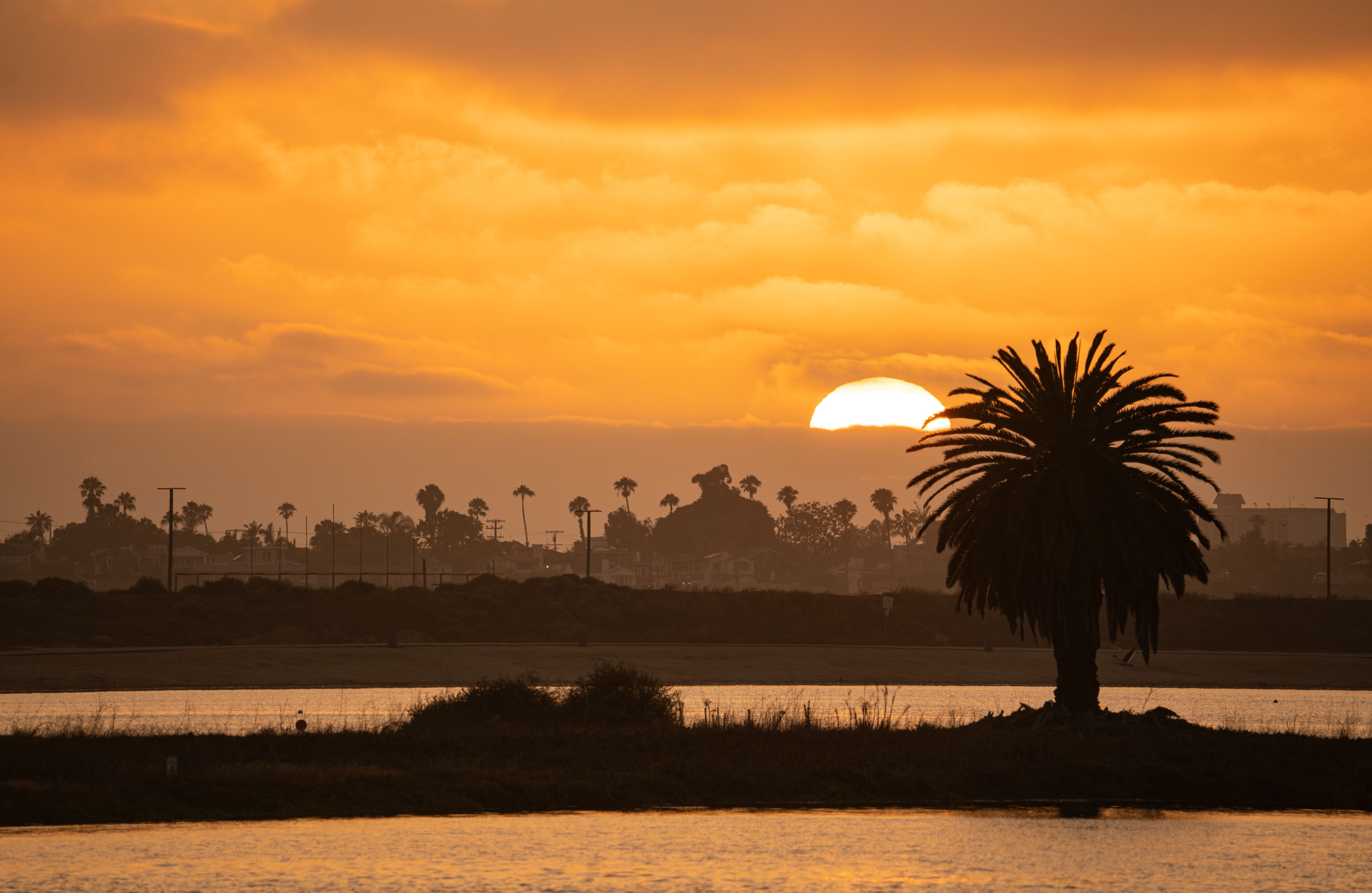 Best Gift Card Giveaways in Chula Vista, CA: 2026 Local Guide