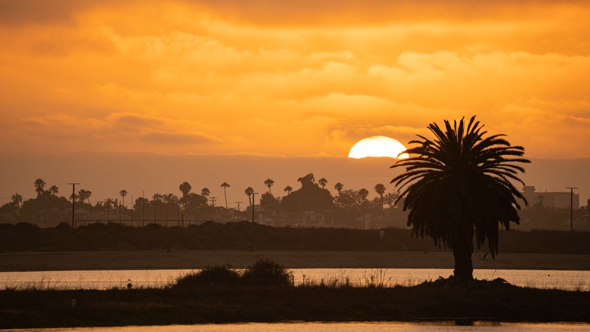 Best Gift Card Giveaways in Chula Vista, CA: 2026 Local Guide