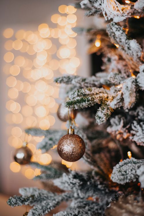 Free Festive Christmas tree with snow-dusted branches and shimmering ornaments. Stock Photo