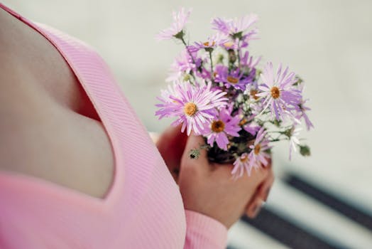 A bouquet of purple daisies held by a person wearing a pink sweater. Bright and fresh outdoor scene.