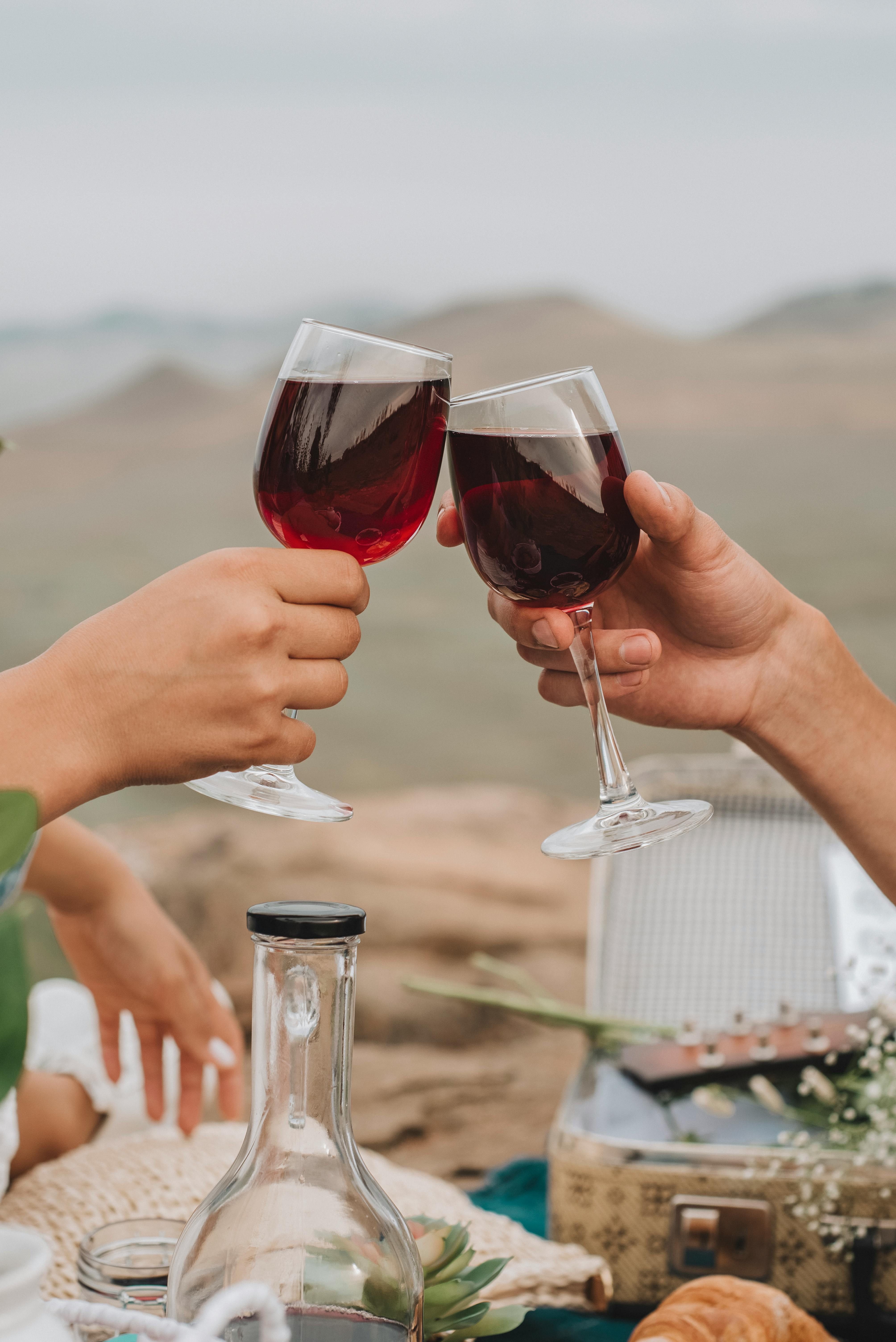 clinking glasses at a picnic