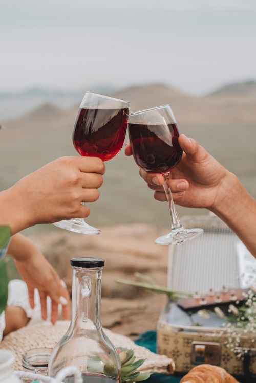 Free Celebrate with a toast of red wine at an outdoor picnic setting, capturing a moment of joy and relaxation. Stock Photo