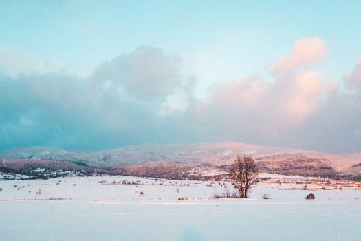 A tranquil winter scene of a snow-covered field with mountains in Romania, showcasing natural beauty.