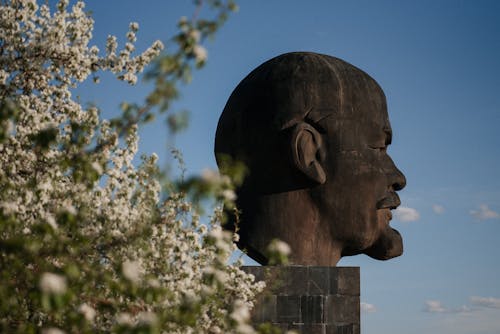 Statue of a Man's Head Under Blue Sky