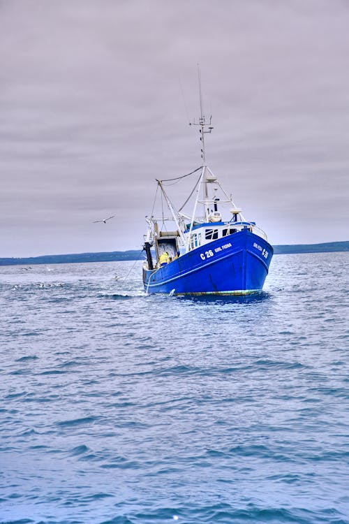 Imagine de stoc gratuită din ambarcațiune, barcă de pescuit, fotografiere verticală