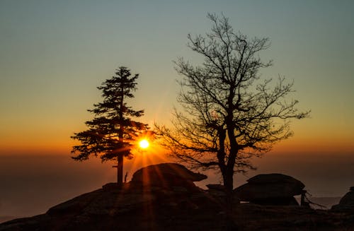 シルエット, 夕暮れ, 夜明けの無料の写真素材