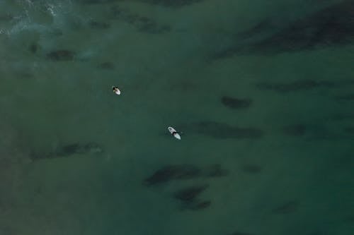 Základová fotografie zdarma na téma letecká fotografie, moře, oceán