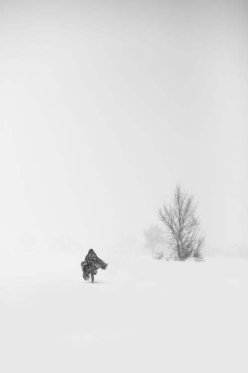 Immagine gratuita di camminando, campo coperto di neve, freddo