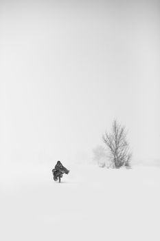 A solitary person walking in a snow-covered field with bare trees in a winter setting, creating a serene, minimalist scene.