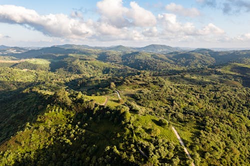 Free Drone Shot of Hills Covered in Grass and Trees Stock Photo