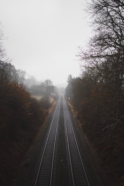 Gray Train Tracks Between Trees