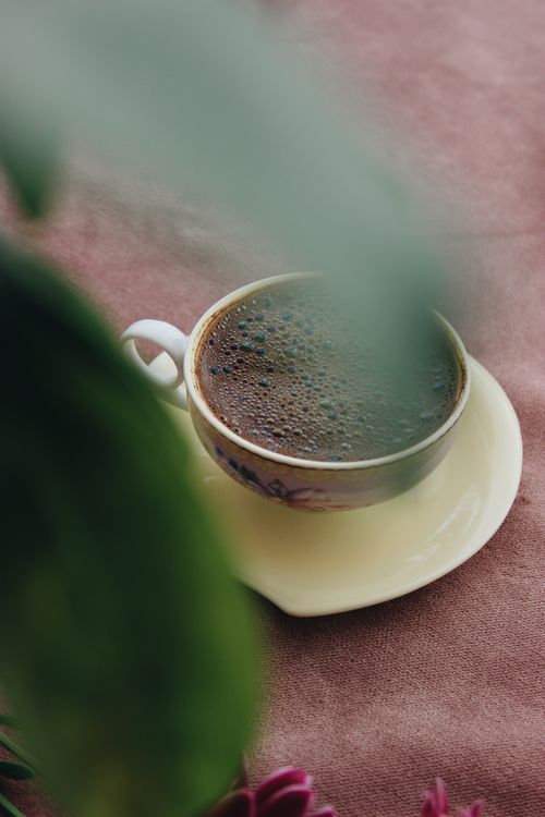 Free A steaming cup of coffee sits on a saucer, partially obscured by green leaves, creating a cozy still life scene. Stock Photo