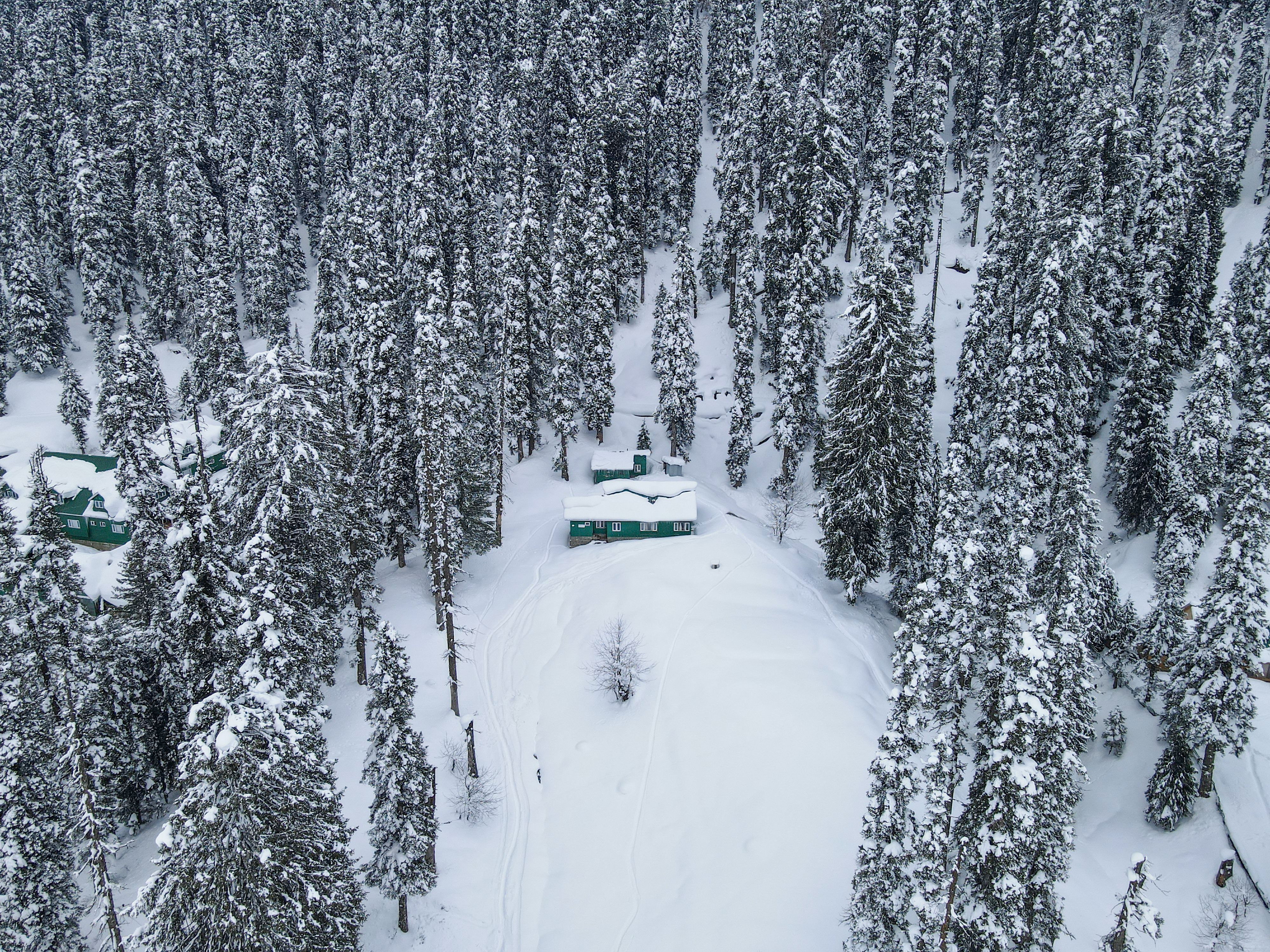Aerial View Of Snow Covered Trees · Free Stock Photo