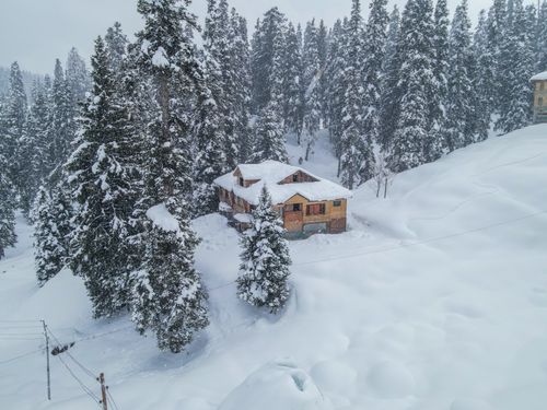Free A cozy wooden cabin nestled in a picturesque snowy forest, ideal for winter retreats. Stock Photo