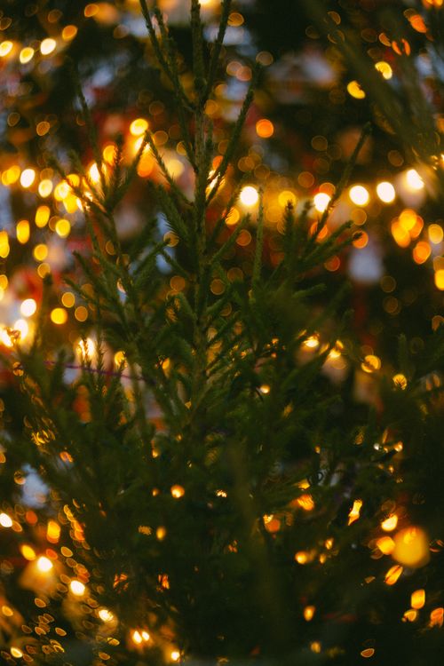 Free A Christmas tree adorned with warm bokeh lights creating a festive holiday atmosphere. Stock Photo
