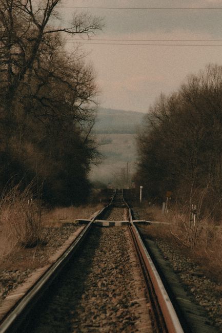 A tranquil railway track cutting through barren trees, capturing the essence of winter solitude.