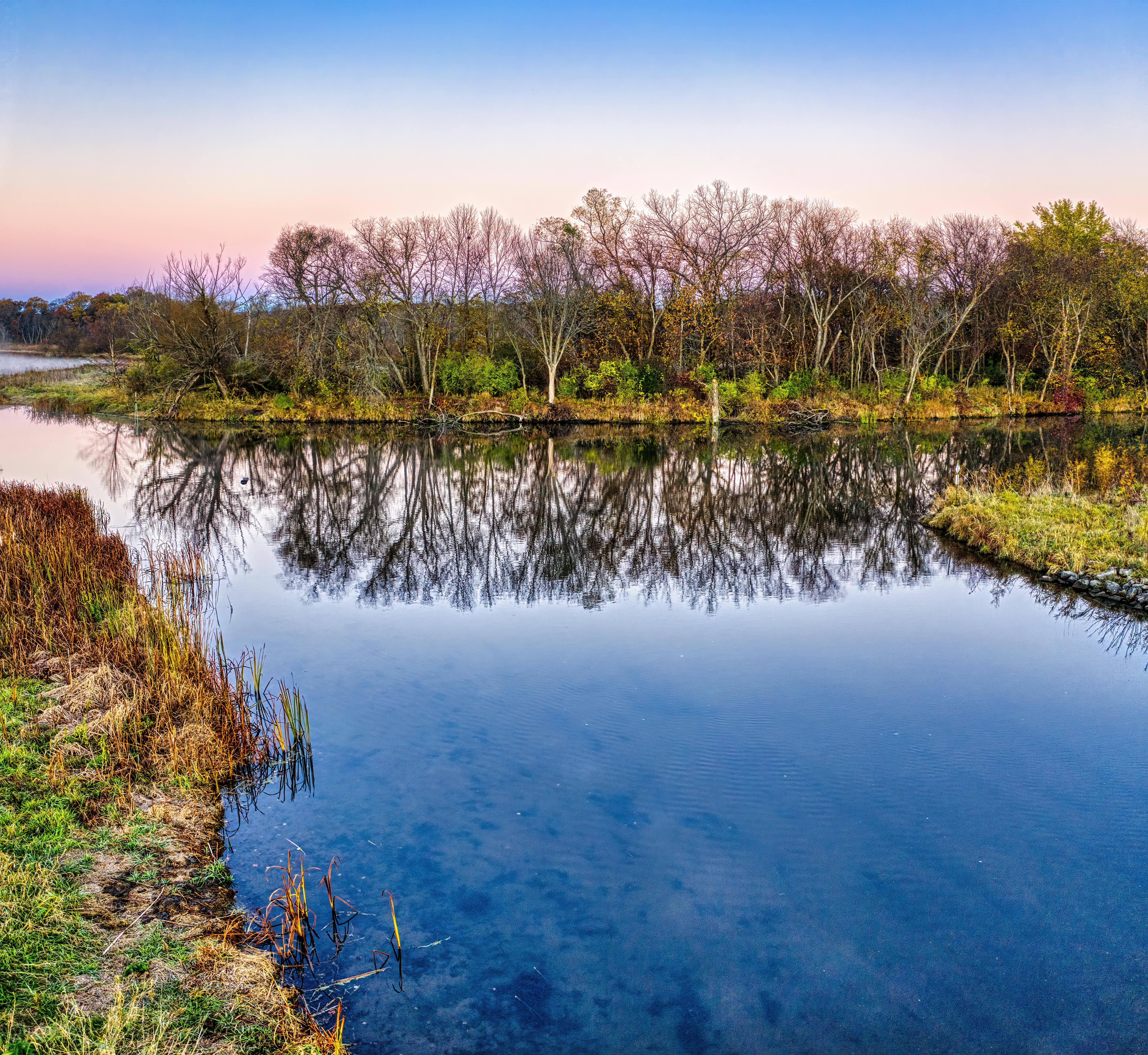 DuPage Forest Preserve executive director leaving for city manager job in Florida — Photo by Tom Fisk on Pexels